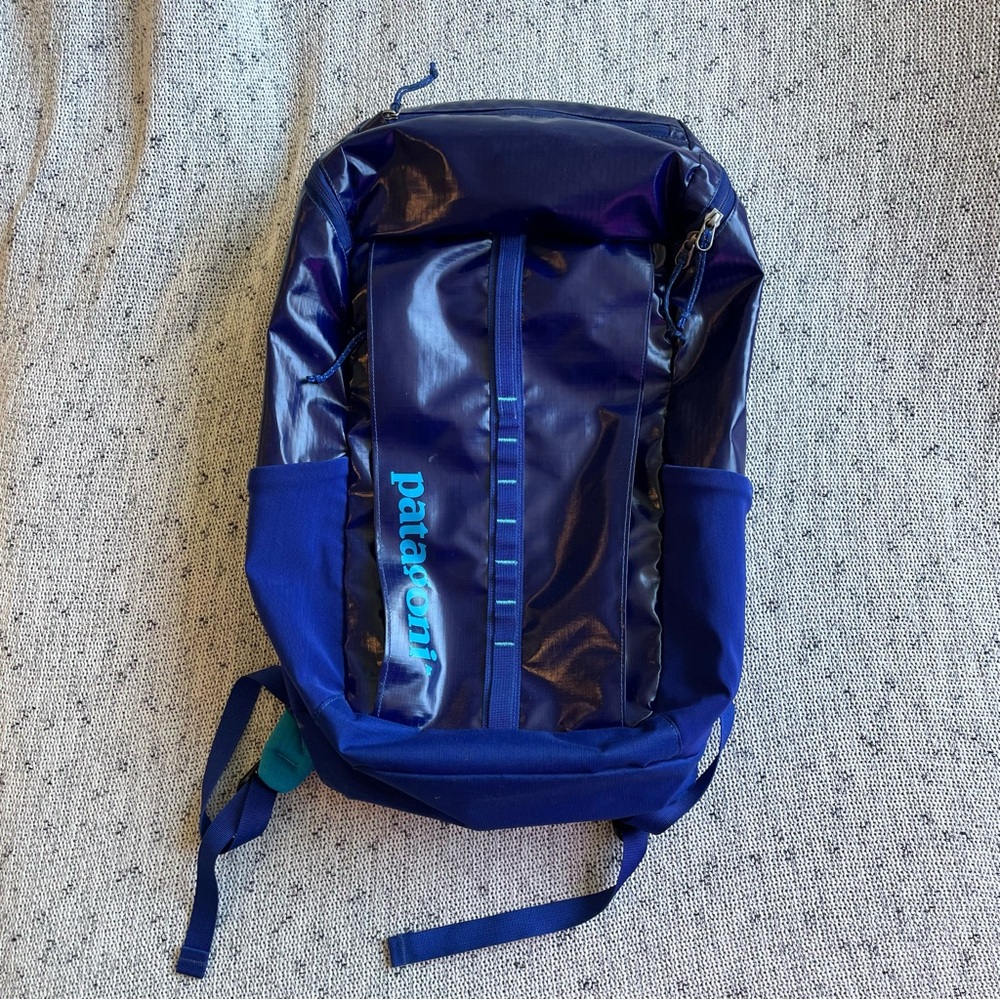 Patagonia Black Hole 25L Backpack